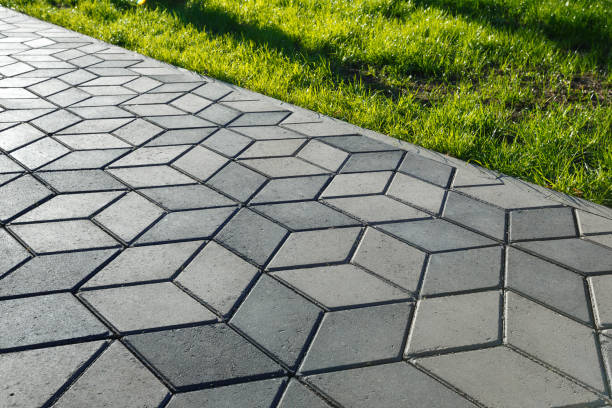 Best Best Driveway Pavers  in Roan Mountain, TN